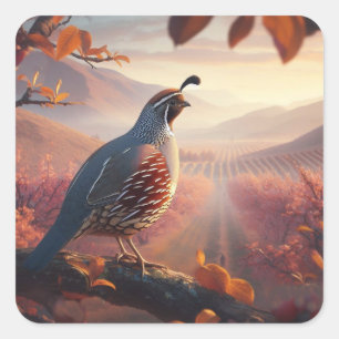 California Quail Birds Wildlife Art Quadratischer Aufkleber