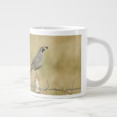 California Quail Jumbo-Tasse (Rechts)