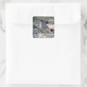 California Quail - Square Sticker (Tasche)