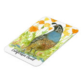 California Quail Watercolor Pupies Painting Magnet (Linke Seite)