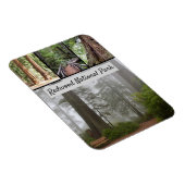 California Redwood National Park Sequoia Trees Magnet (Rechte Seite)
