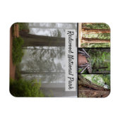California Redwood National Park Sequoia Trees Magnet (Horizontal)