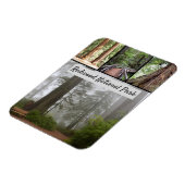 California Redwood National Park Sequoia Trees Magnet (Linke Seite)