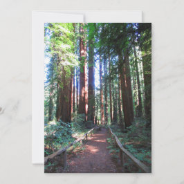 California Redwood Train Design Save The Date