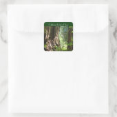 California Redwood Trees Aufkleber (Tasche)