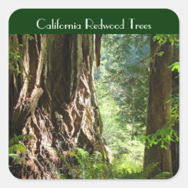 California Redwood Trees Aufkleber