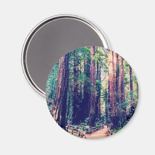 California Redwoods Magnet (Vorderseite/Rückseite)