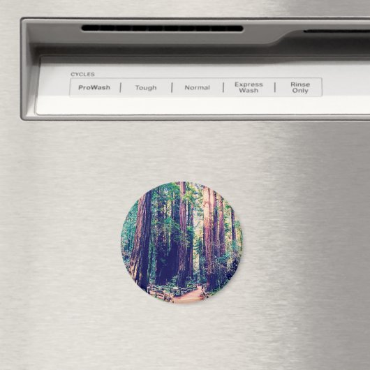 California Redwoods Magnet (In Situ (Geschirrspüler))