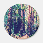 California Redwoods Magnet (Vorne)