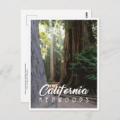 California Redwoods Post Card Postkarte (Vorne/Hinten)