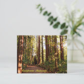 California Redwoods Postcard Postkarte (Stehend Vorderseite)