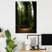 California Redwoods Poster (Heimbüro)
