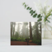 California Redwoods Postkarte (Stehend Vorderseite)