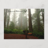 California Redwoods Postkarte (Vorderseite)