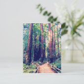 California Redwoods Postkarte (Stehend Vorderseite)