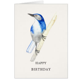 California Scrub Jay Happy Birthday Card
