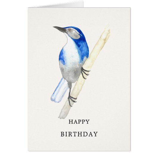 California Scrub Jay Happy Birthday Card (Vorne)