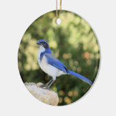 California Scrub Jay Keramik Ornament (Links)