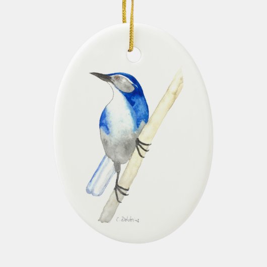 California Scrub Jay Keramikornament (Hinten)