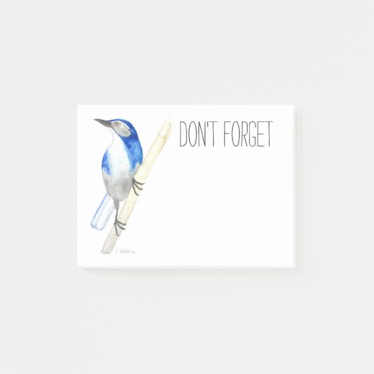 California Scrub Jay Post-it Notes Post-it Klebezettel (Vorderseite)