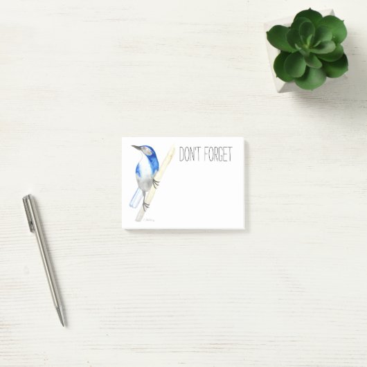 California Scrub Jay Post-it Notes Post-it Klebezettel (Büro)