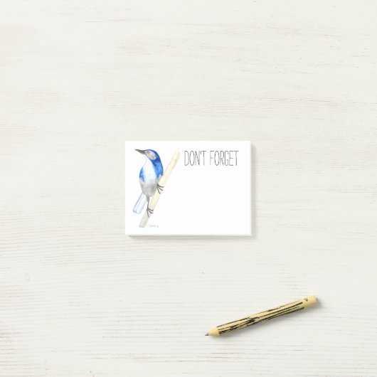California Scrub Jay Post-it Notes Post-it Klebezettel (Auf Schreibtisch)