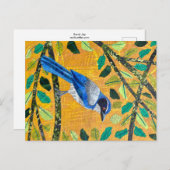 California Scrub Jay Postkarte (Vorne/Hinten)