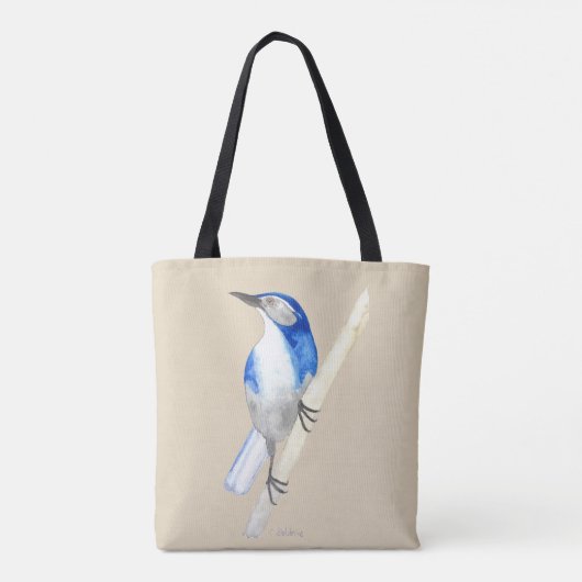 California Scrub Jay Tasche (Rückseite)