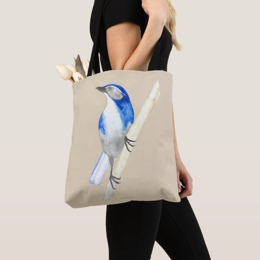 California Scrub Jay Tasche (Von Nahem)