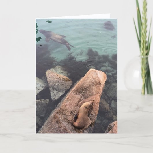 california sea life greeting card (blank inside) karte (Vorderseite)