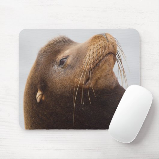 California Sea Lion Mousepad (Mit Mouse)
