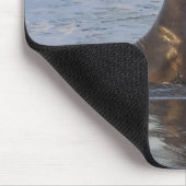 California Sea Lion Mousepad (Ecke)