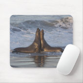 California Sea Lion Mousepad (Mit Mouse)
