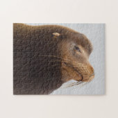 California Sea Lion Puzzle (Horizontal)