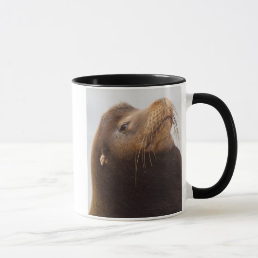 California Sea Lion Tasse (Rechts)
