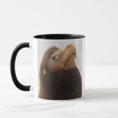 California Sea Lion Tasse (Links)