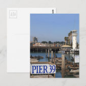 California Sea Lions Postkarte (Vorne/Hinten)