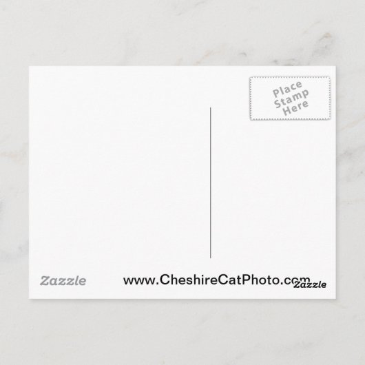 California Sea Otter California Products Postkarte (Rückseite)