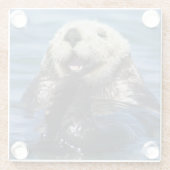California Sea Otter Enhydra lutris) grooms Glasuntersetzer (Rückseite)