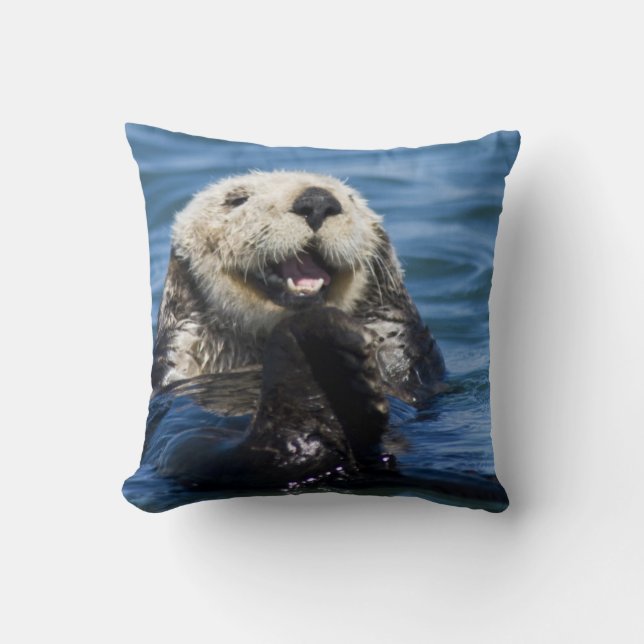 California Sea Otter Enhydra lutris) grooms Kissen (Vorderseite)