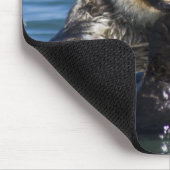 California Sea Otter Enhydra lutris) grooms Mousepad (Ecke)