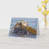 California Sea Otter wurde in Bull Kelp ummantelt. Karte (Gelbe Blume)