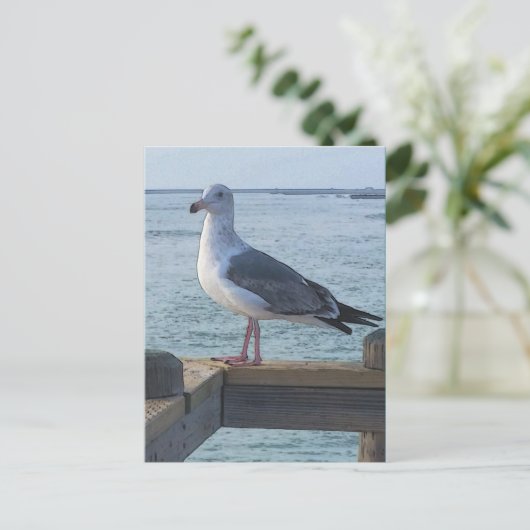 California Seagull Postcard Postkarte (Stehend Vorderseite)