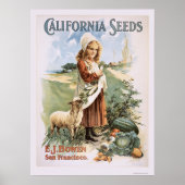 California Seeds Poster (Vorne)