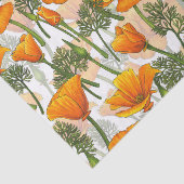 California Seidenpapier (Ausschnitt)