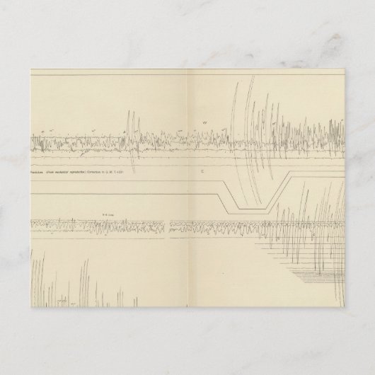 California Seismogramme 11 Postkarte (Vorderseite)