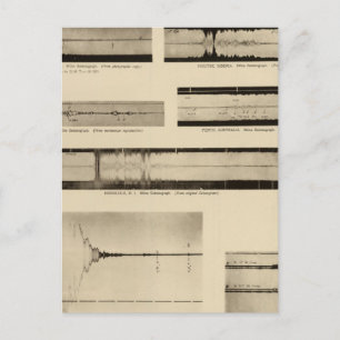 California Seismogramme 2 Postkarte