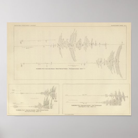 California Seismogramme 6 Poster (Vorne)