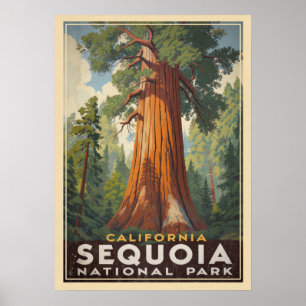 California Sequoia Nationalpark V01 Poster