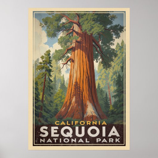 California Sequoia Nationalpark V01 Poster (Vorne)